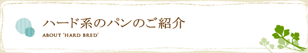 ハード系のパンのご紹介